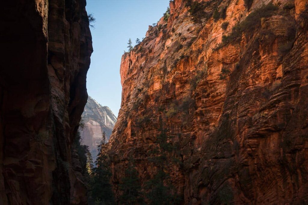 Best Time To Visit Zion National Park: Weather & Events