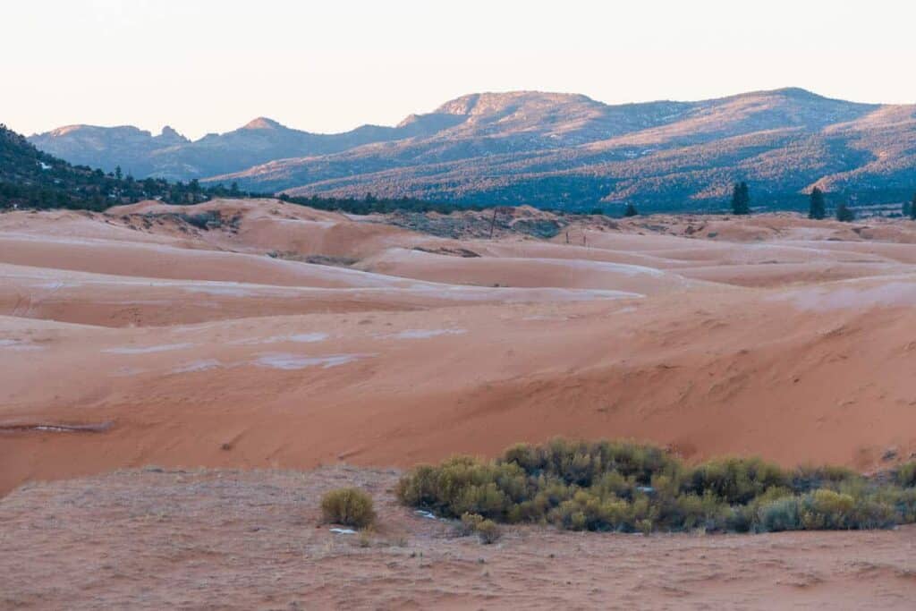 Pink Sunrise Hue at Corral Pink Sand Dunes State Park