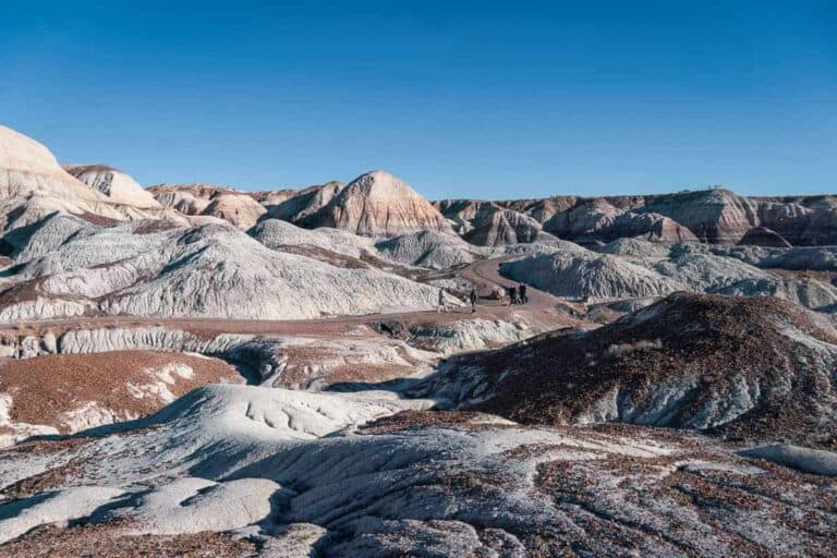 Avoid the Heat! This is the Best Time to Visit Petrified Forest National Park