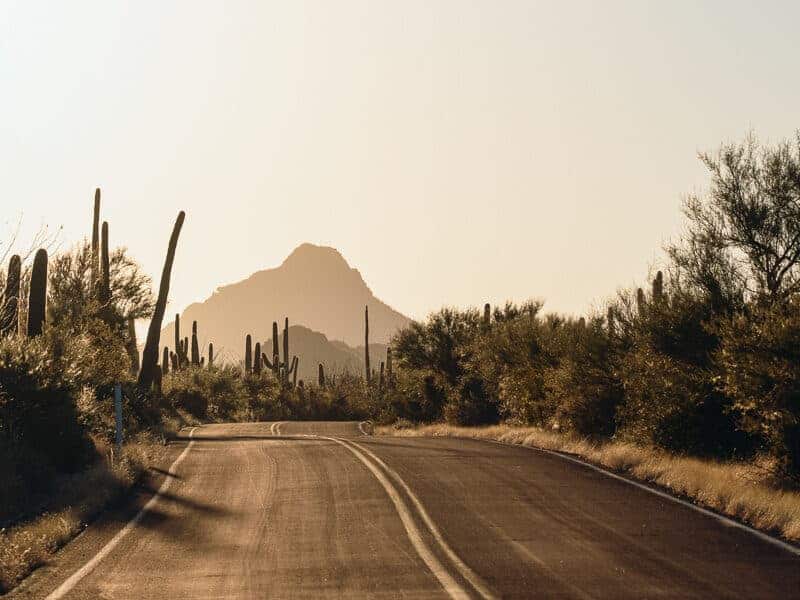 Bajada Look Drive at Sunrise in Saguaro National Park in Southern Arizona