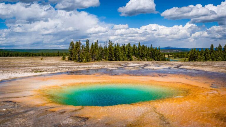 Roads Open! Why Now is the Best Time to Visit Yellowstone