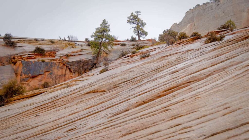 the red cliff in the national park