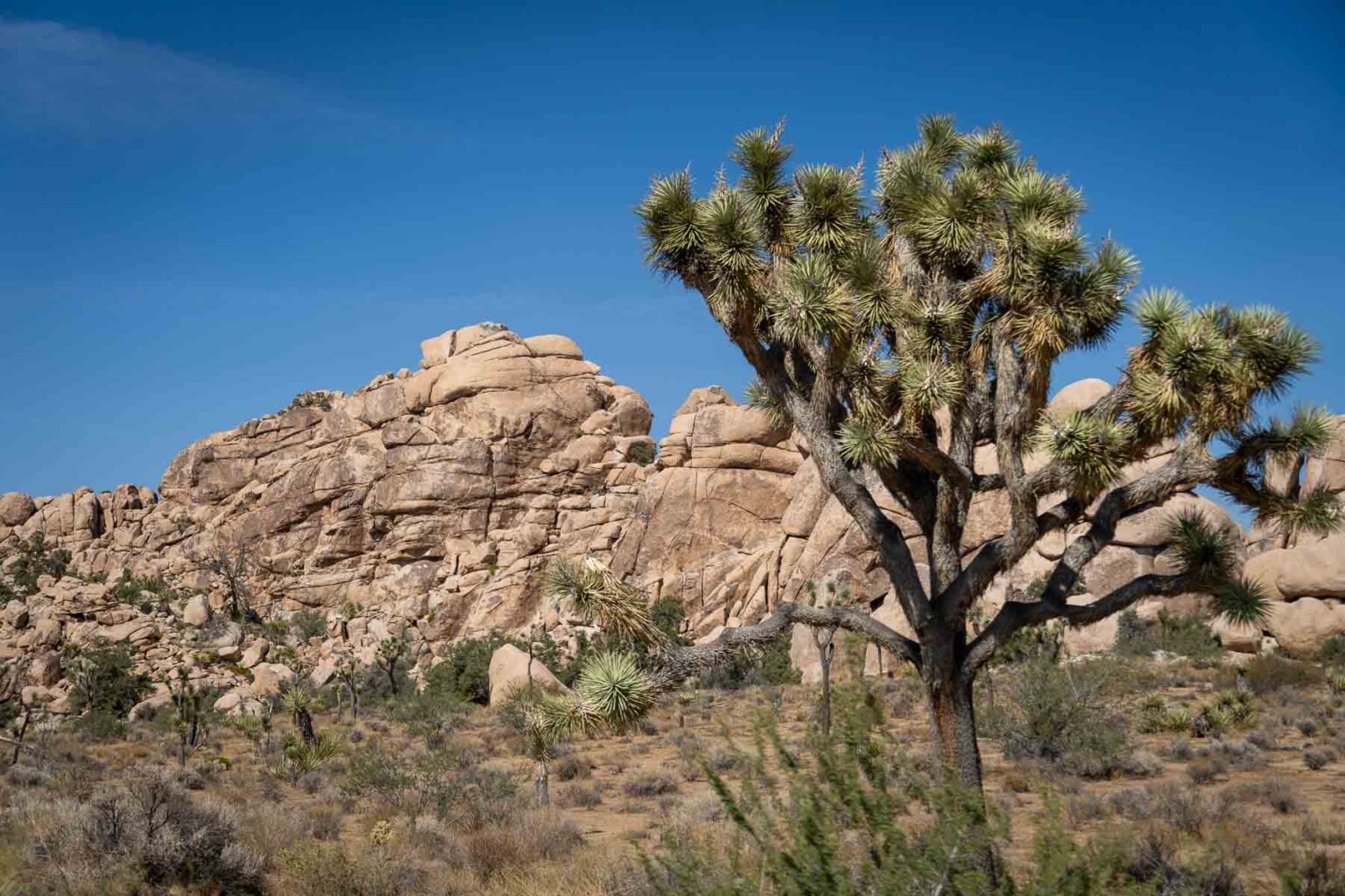 10 National Parks That May Be Too Hot To Handle This Summer