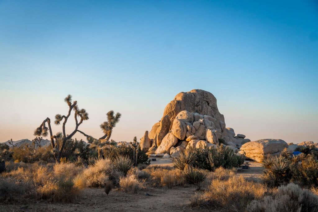 sunrise light in front of a giang pile of boulders in joshua tree national park