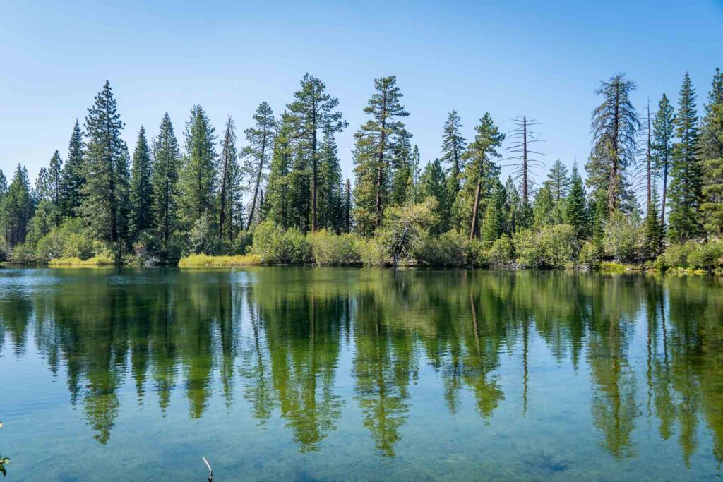 the clear waters reflecting the trees at emerald lake in lassen volcanic national park