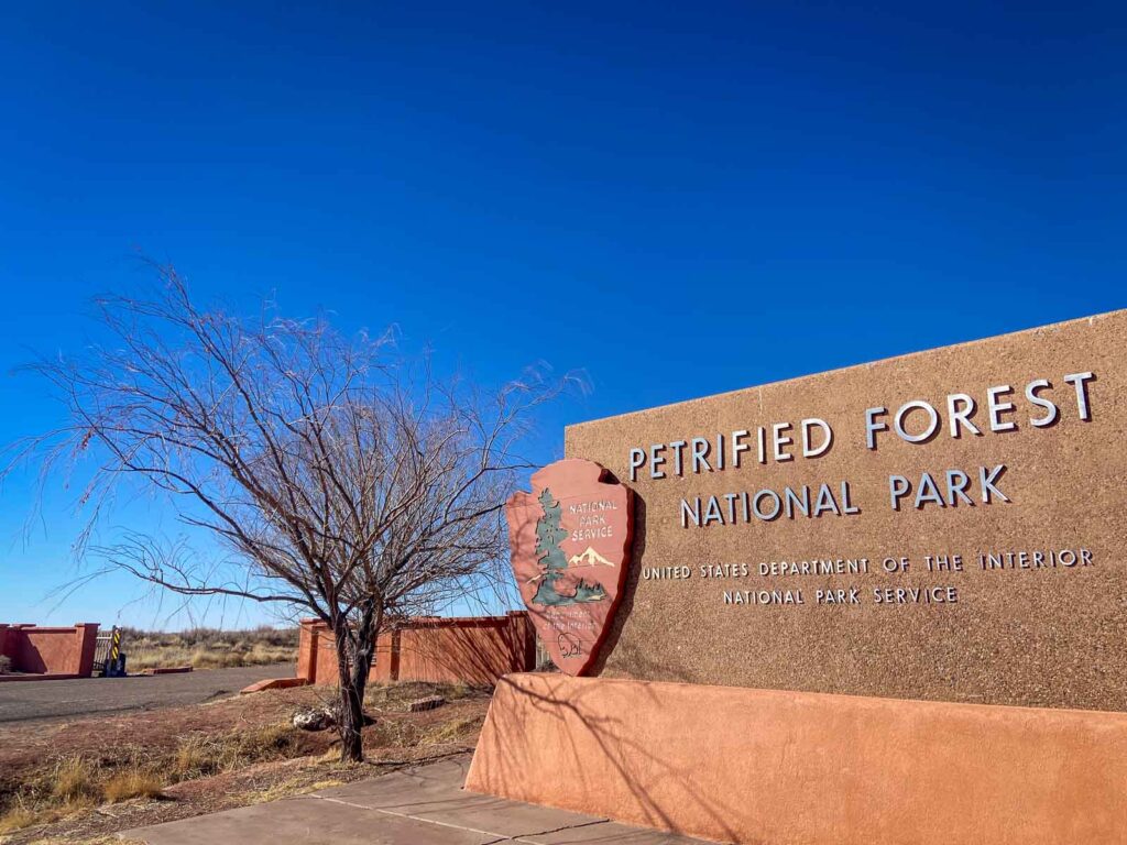 petrified national park entrance sign with a barren tree next to it