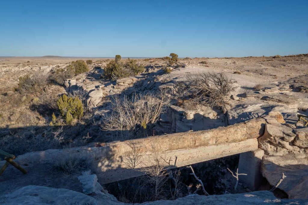 the long petrified wood that forms a bridge at the agate trail