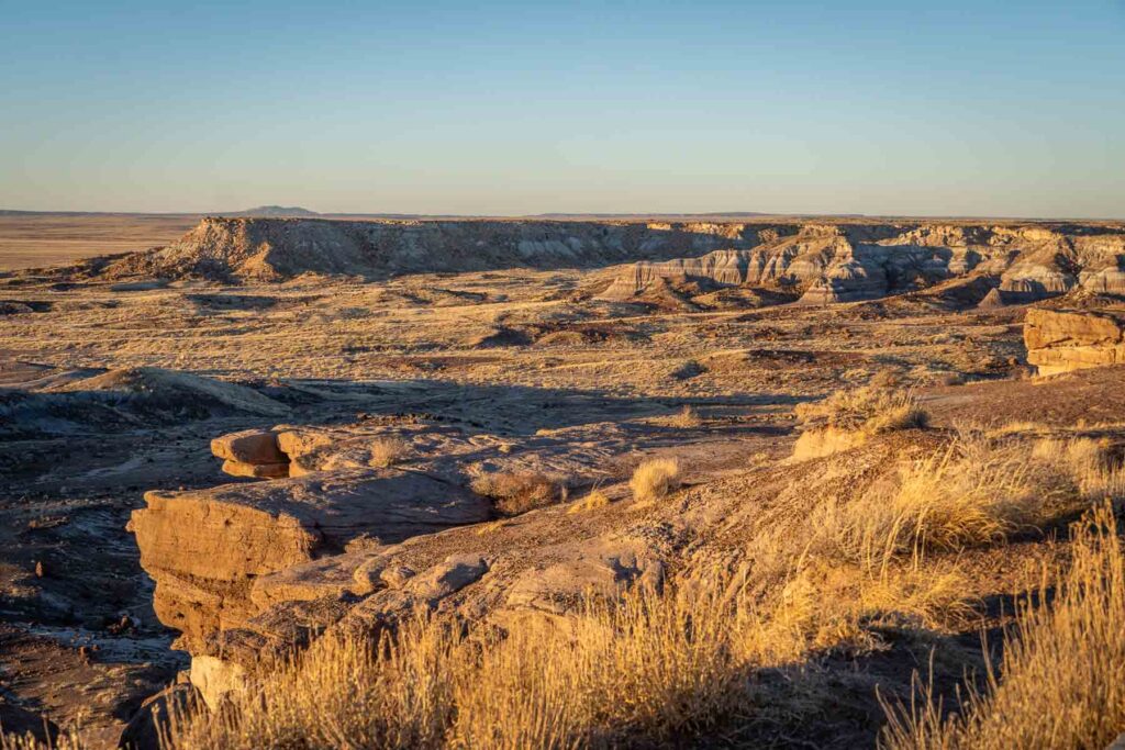 scattered petrified wood pieces in the desert landscape during the sunset