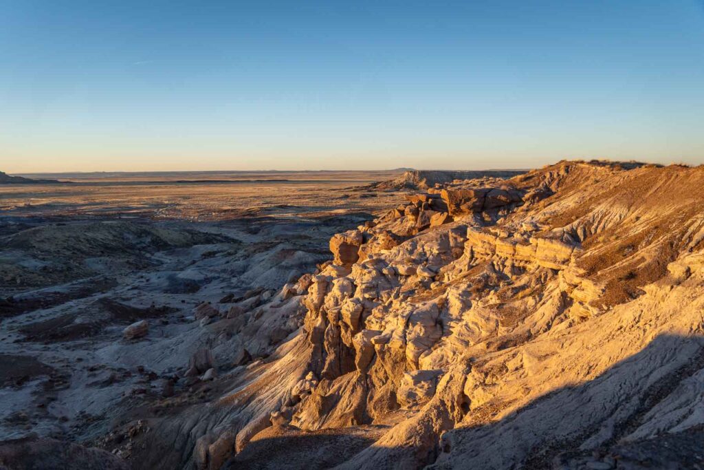 scattered petrified wood pieces in the desert landscape during the sunset