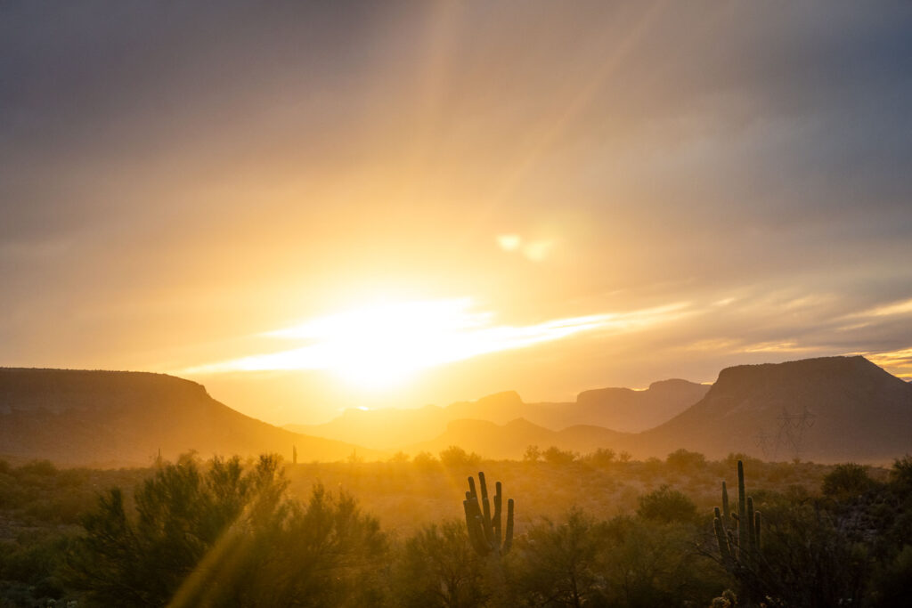A vibrant sunset illuminating the park's desert landscape, casting shadows over the Saguaro cacti.
