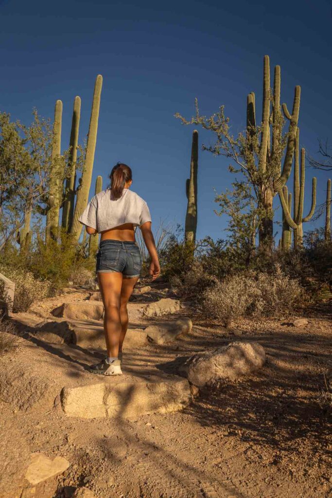 catherine xu walking up the saguaro cacti lined trail with her back shown