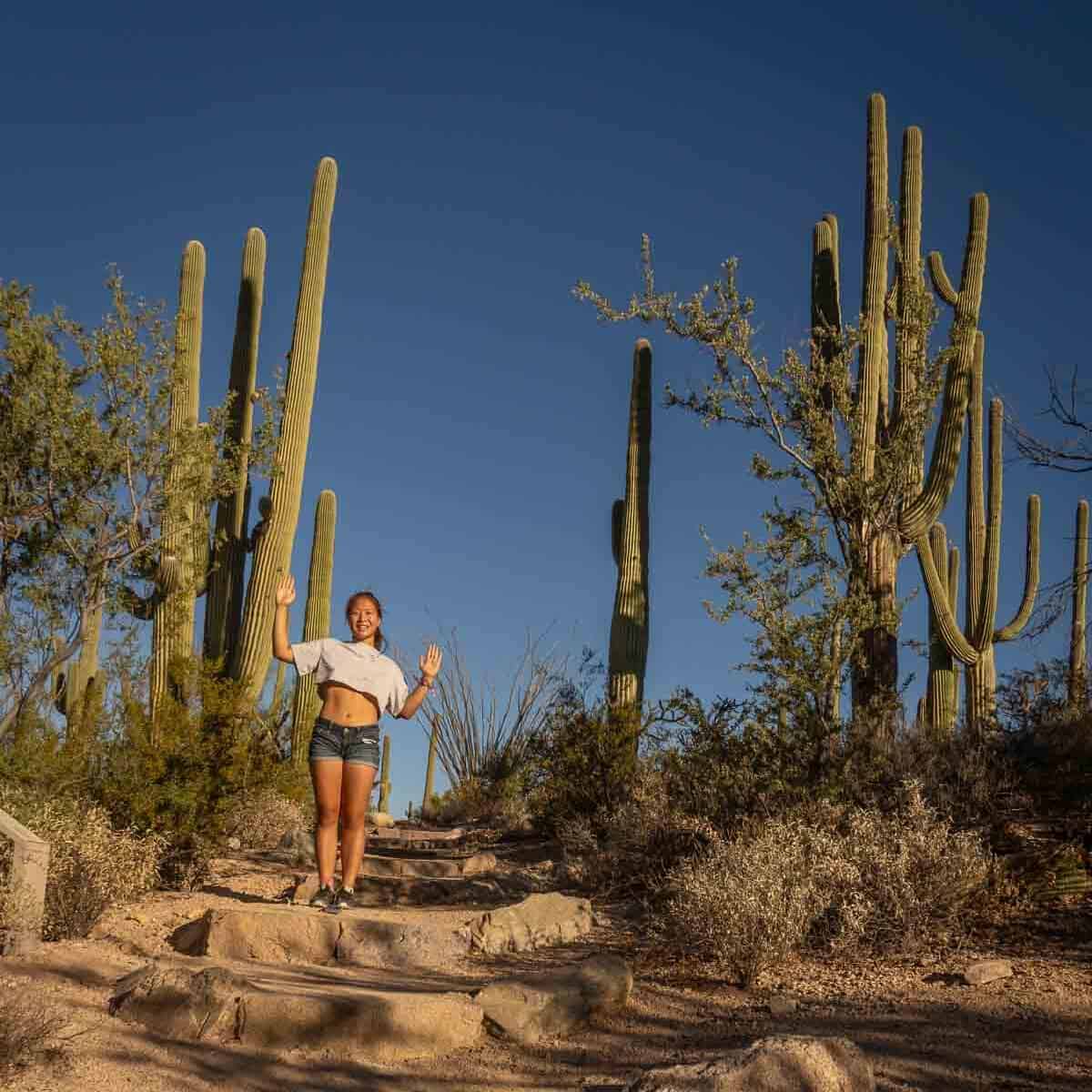 catherine xu walking up the saguaro cacti lined trailm posing like shes a cacti