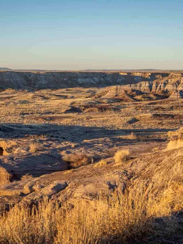 Petrified Forest National Park in January