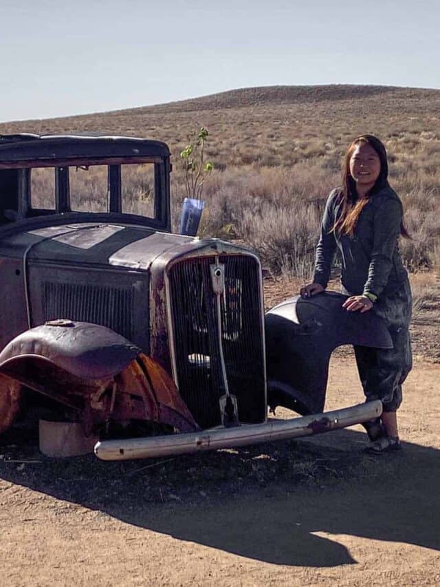 Petrified Forest National Park in February