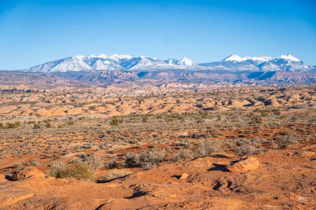 A scenic view of the Petrified Dunes, with mountains visible in the distance