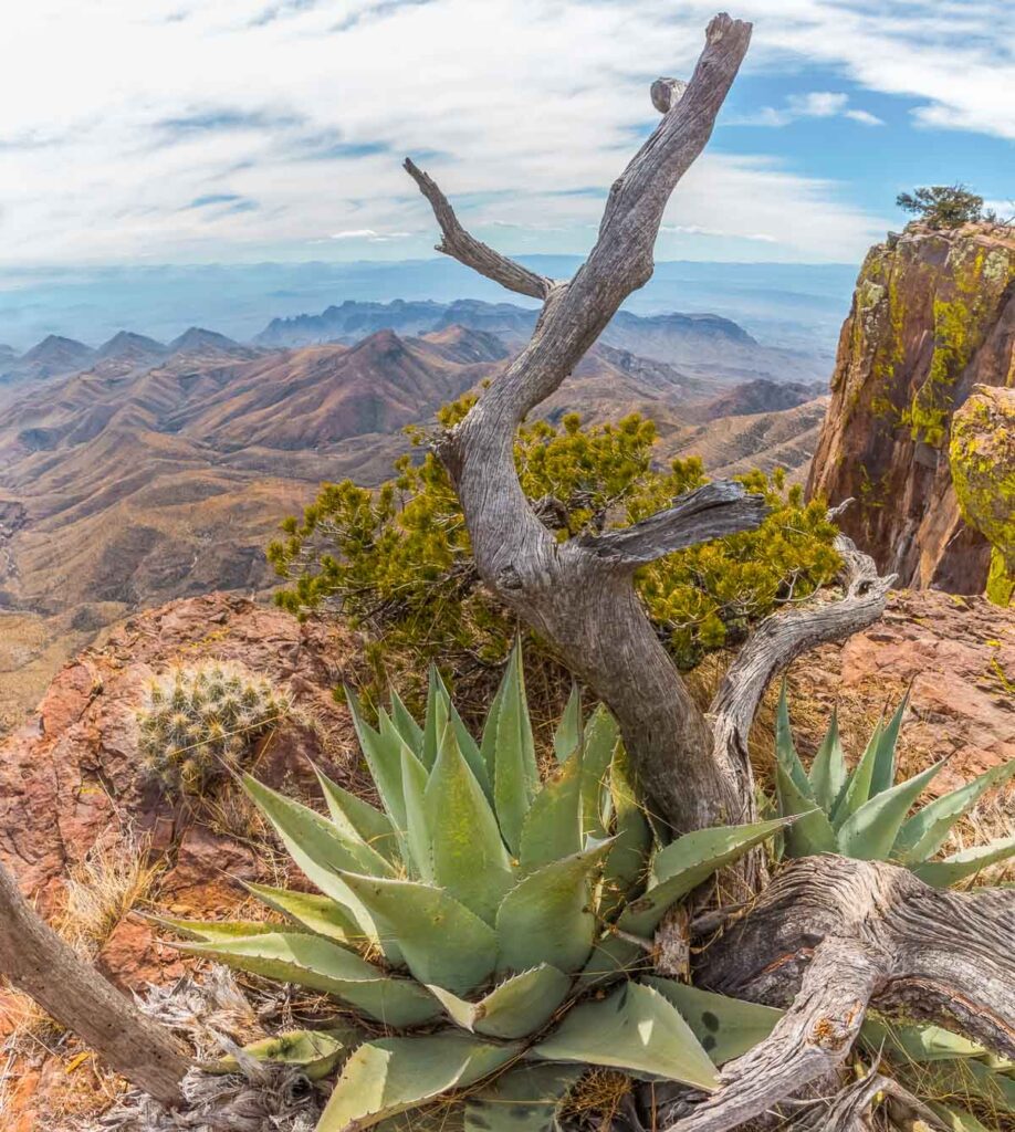 Southwest Rim And The Chisos Mountains Across The Chihuahuan Desert, Big Bend National Park, Texas, USA