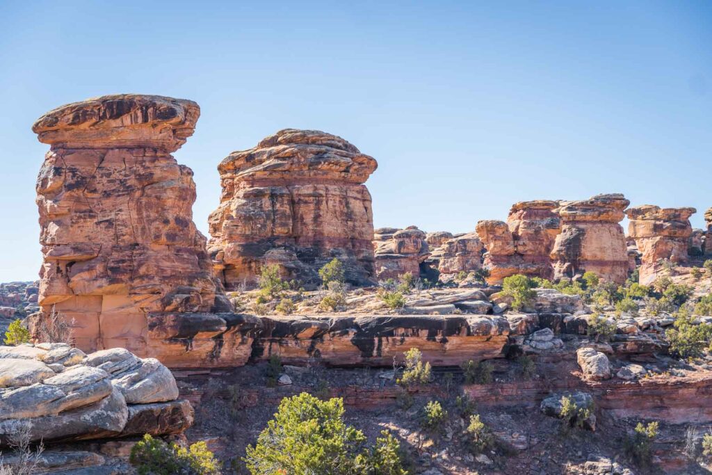 spires hoodoos in the needs district in canyonlands national park