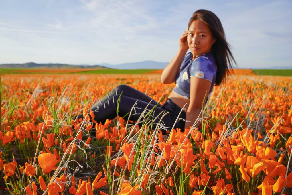 catherine xu sitting in a field of poppy flowers looking forward