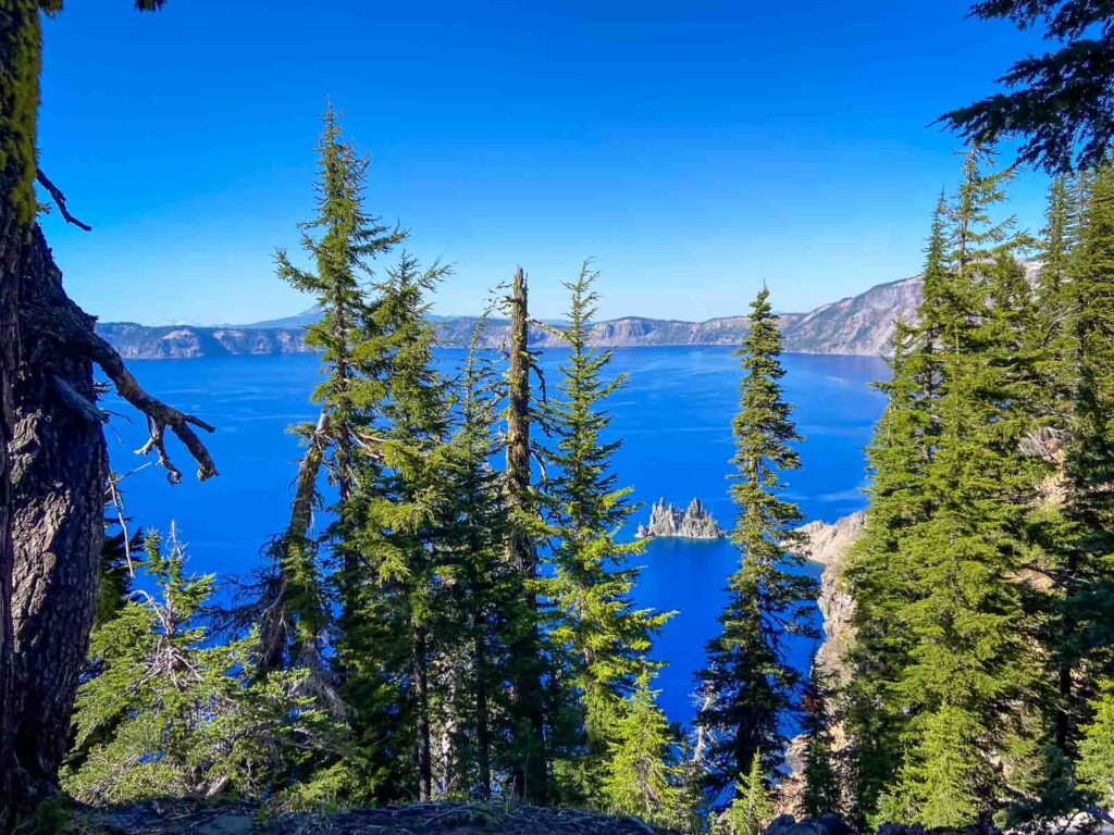 a tree forest in front of the blue sky and blue crater lake waters