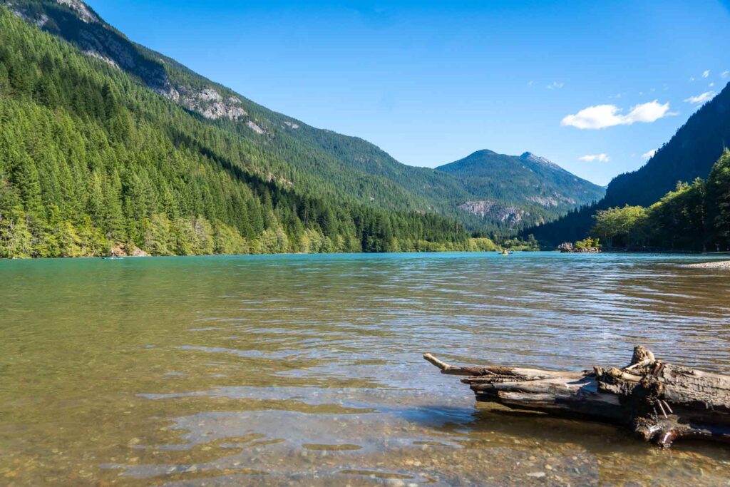 ross lake from the ground level with a drift wood as the subject