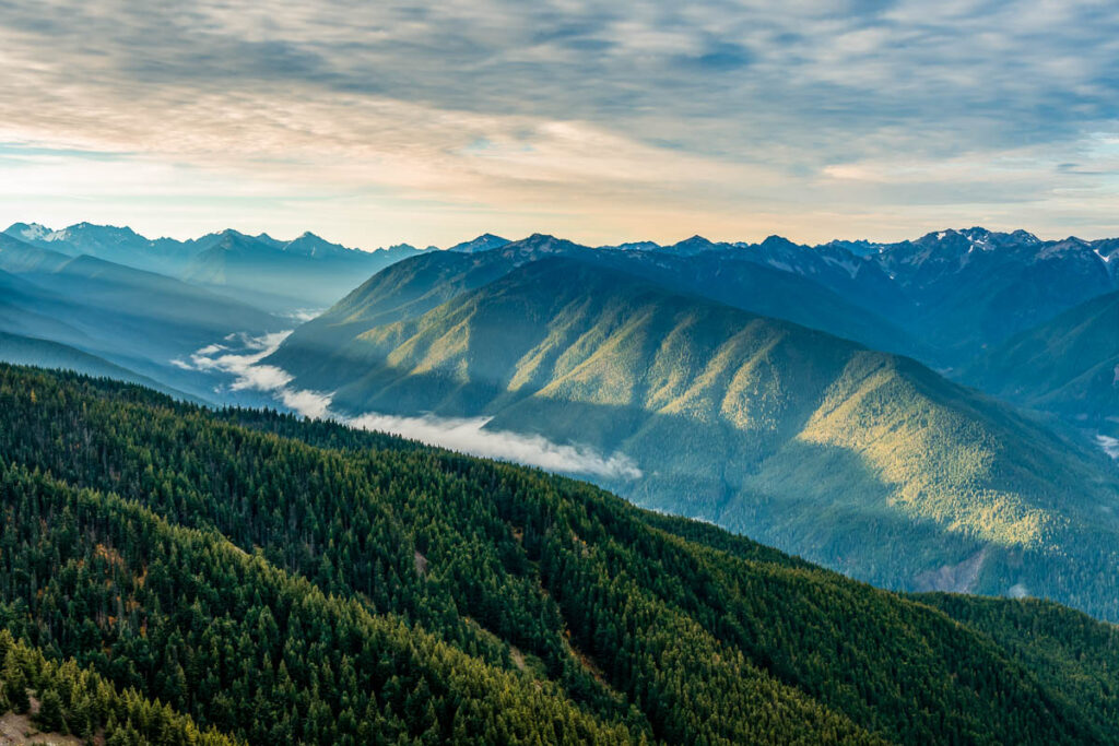 Morning Breaks Over the Hoh Rainforest in Washington