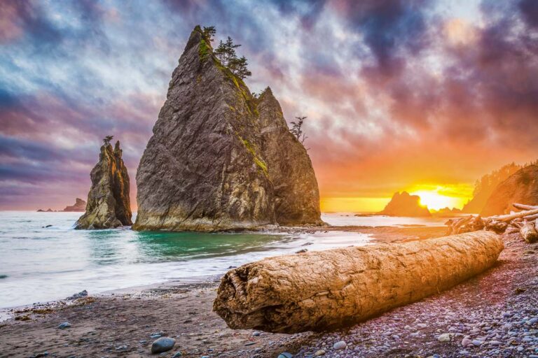 First Time in Olympic National Park? Follow This Day Trip Itinerary for an Epic Visit