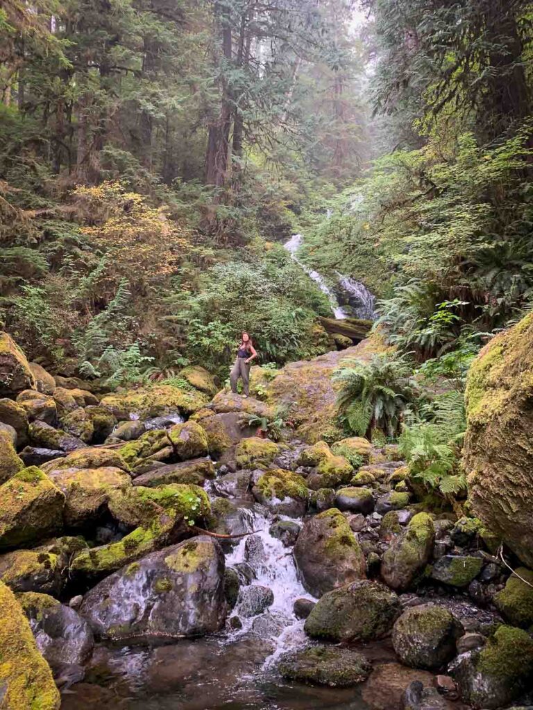 wide-angle view of day trip nomad in the rainforest of olympic national park