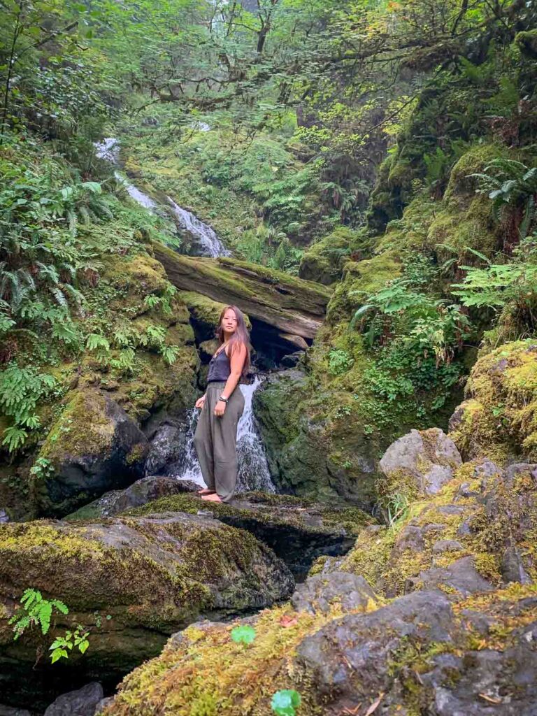 day trip nomad in the rainforest of olympic national park