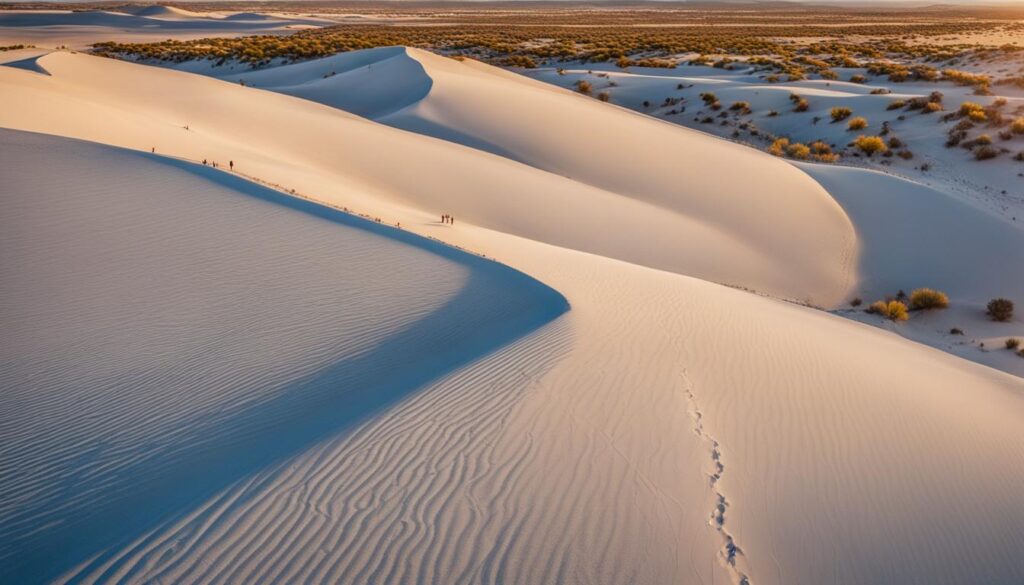 Practical Tips for White Sands National Park