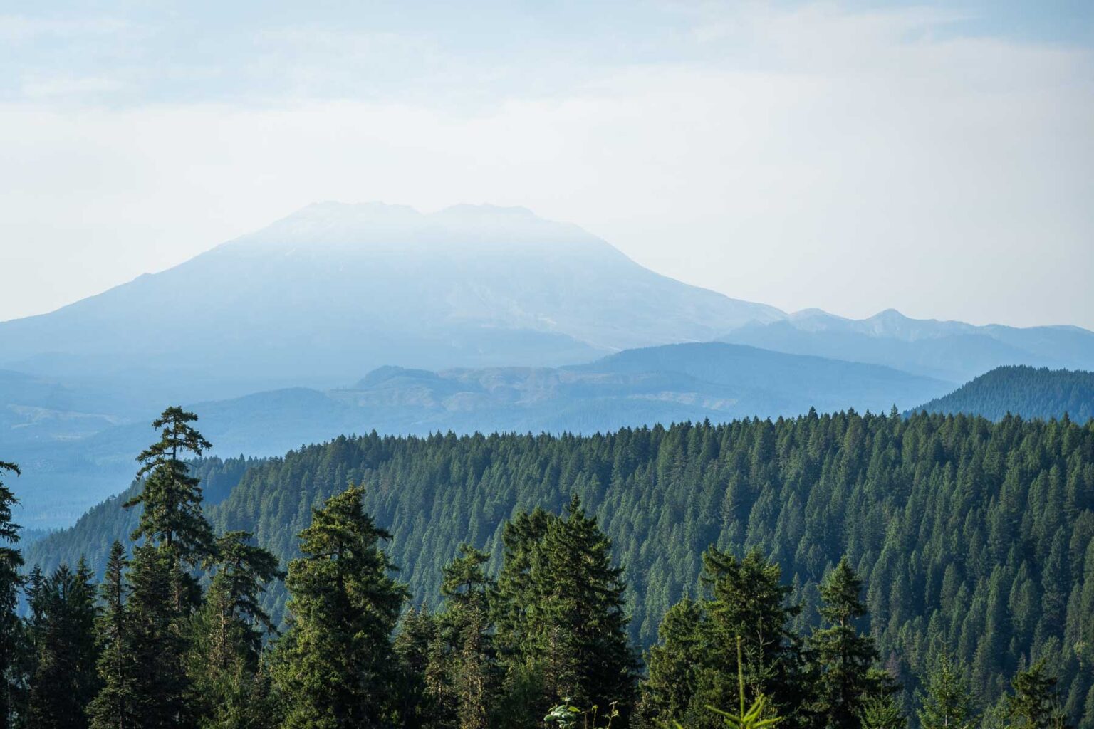 Perfect One Day In Mount Rainier National Park Itinerary For First-Timers