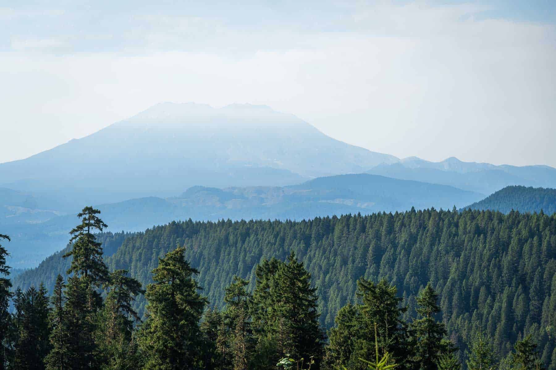 Perfect One Day In Mount Rainier National Park Itinerary For First-Timers