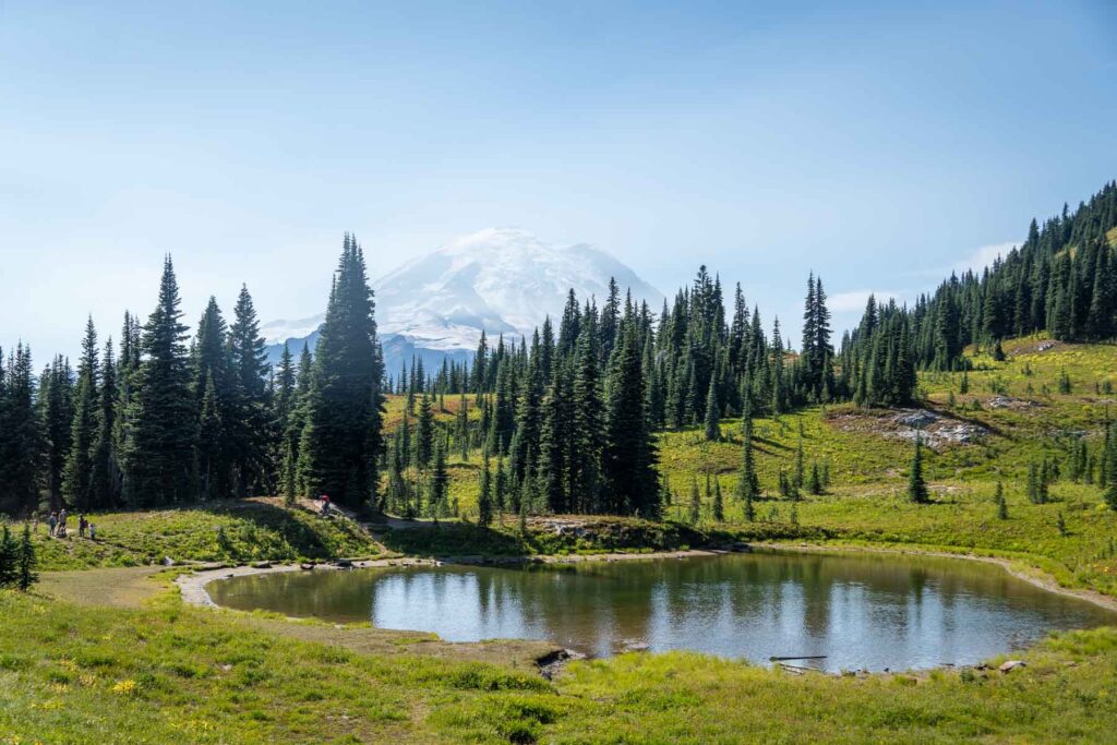 Mt Rainier in the background of a popular hiking trail in the National Park