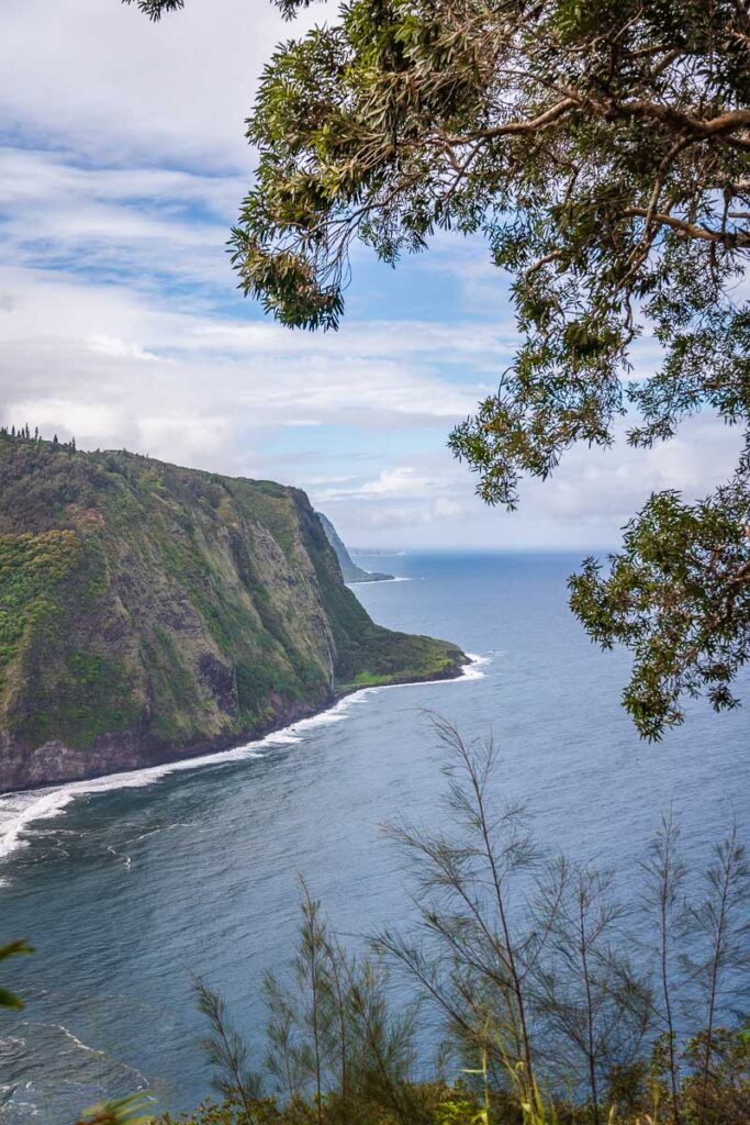 Waipio Valley Lookout of the cliffs framed by a tree