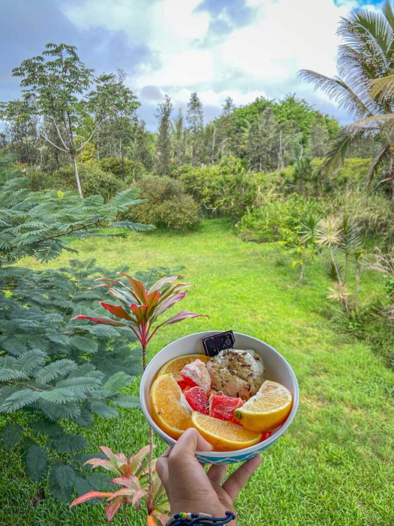 beautiful breakfast fruit bowl with greenery background