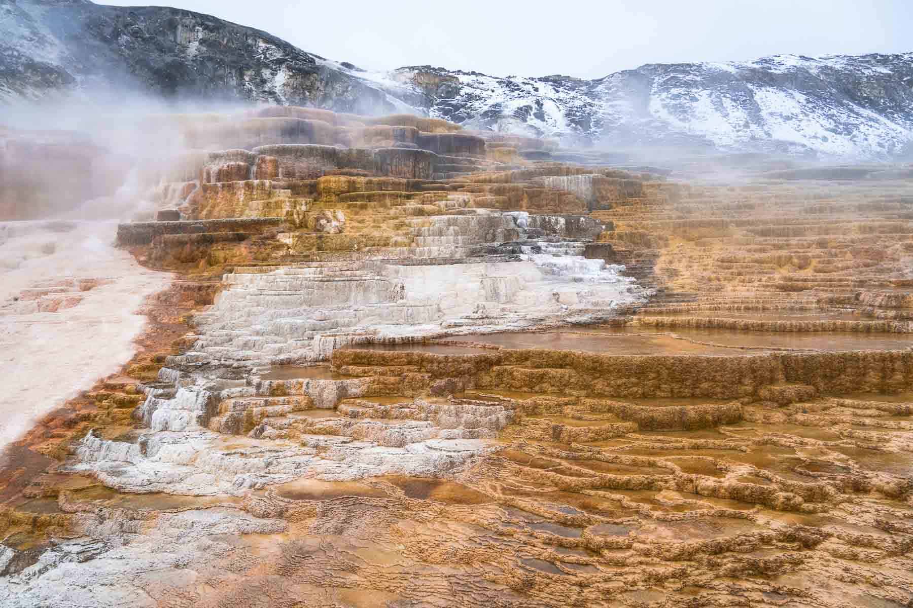 Perfect One Day In Yellowstone Itinerary For First-Timers