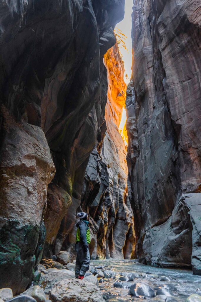 cat xu wearing a wetsuit in the narrows on a one day in zion national park itinerary