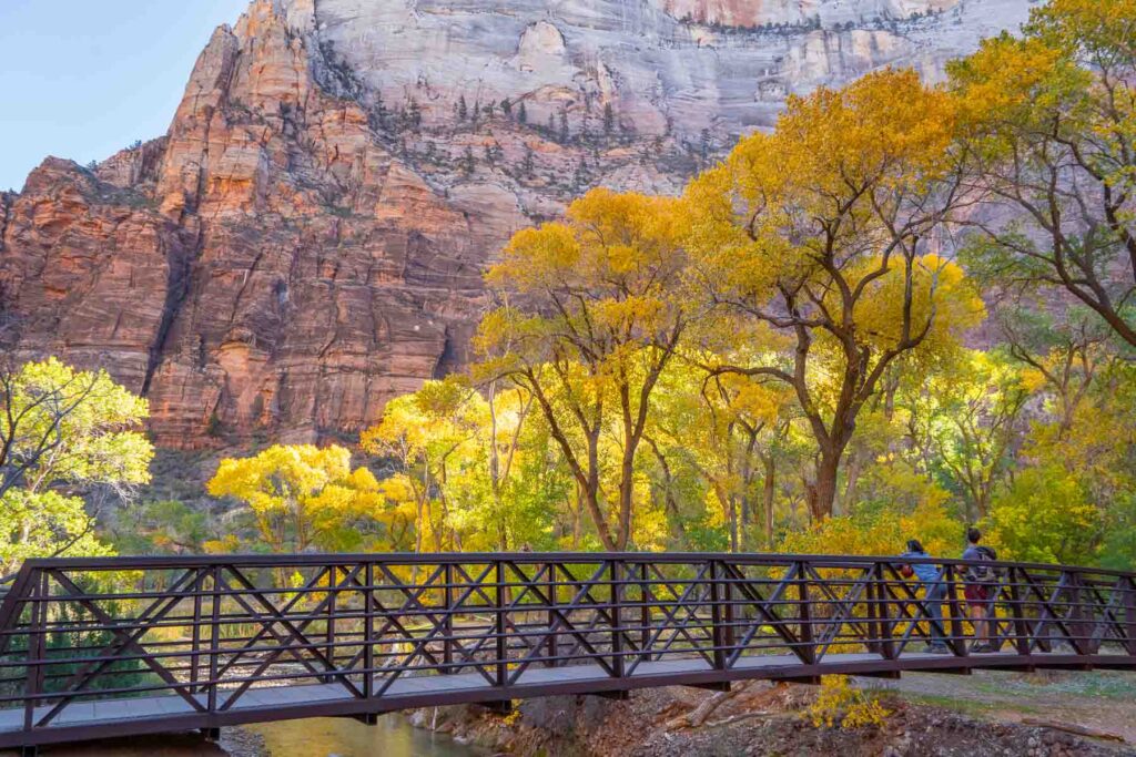 colorful foliage with the monoliths in the background in fall the best time to visit zion national park