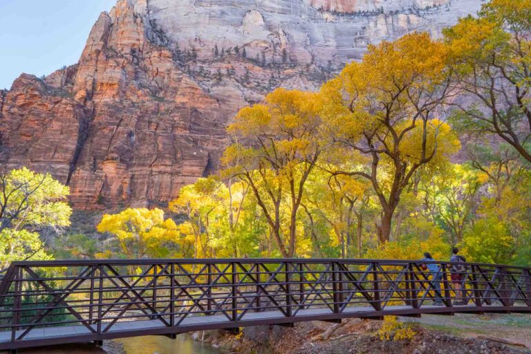 fall foliage with the monoliths in the background on a one day in zion national park itinerary