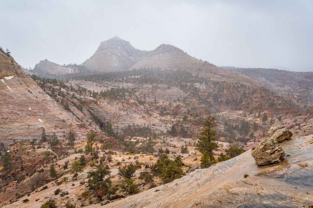 the red rocks of zion in a snowy winter haze