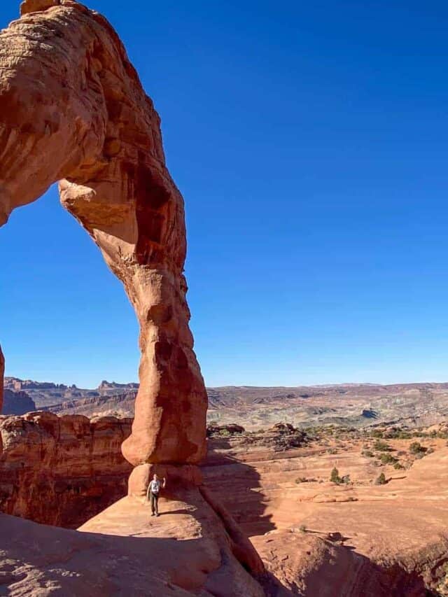 Arches in January