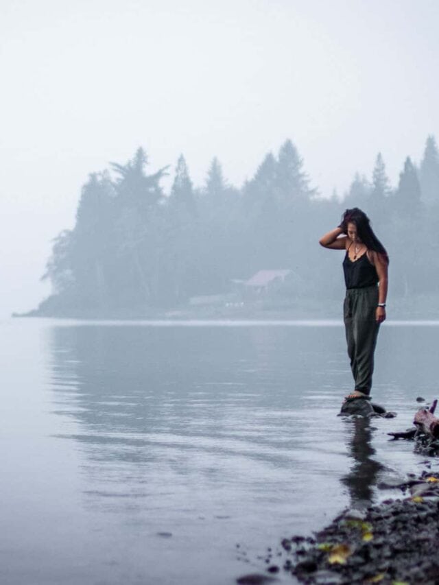 Olympic National Park in January