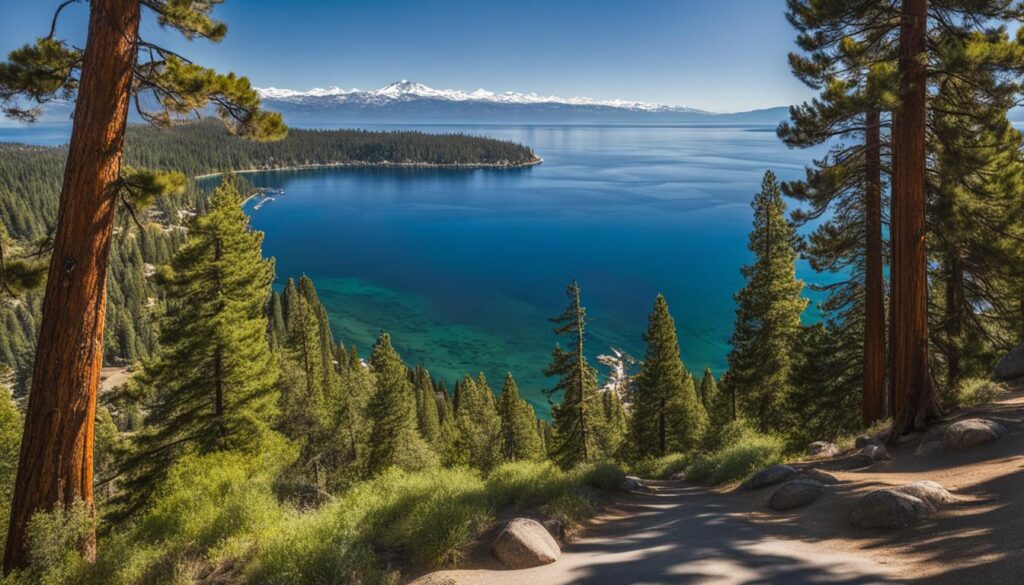 day trip to Lake Tahoe itinerary with an overloop of lake through the trees