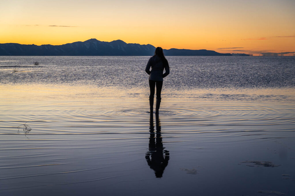 cat xu silhouette over the sunset of the great salt lake