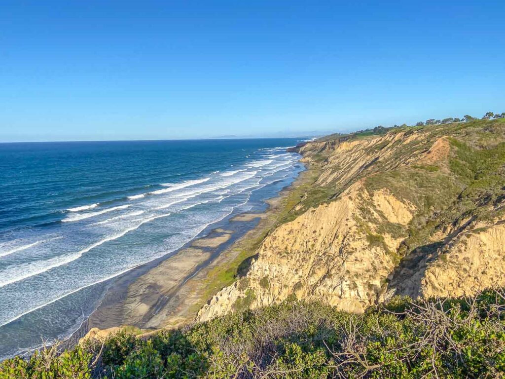 The cliffsides of a Torrey Pines Nature Reserve