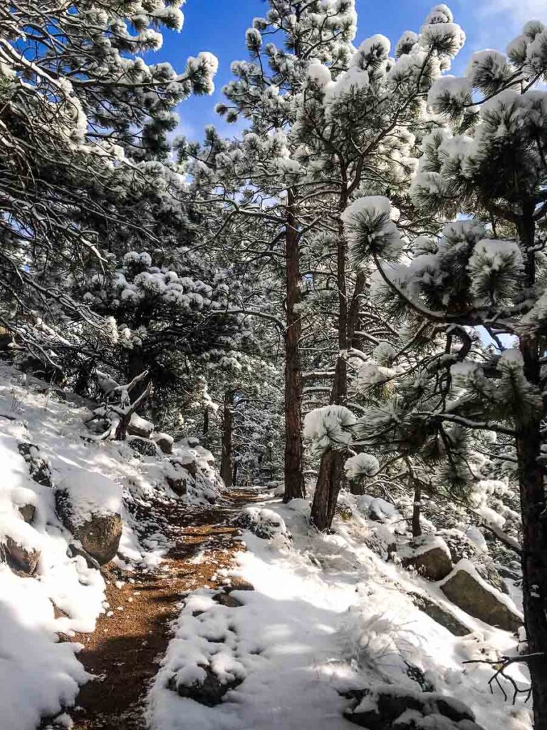 A snowy winter hiking trail on Lion's Spur trail in Boulder