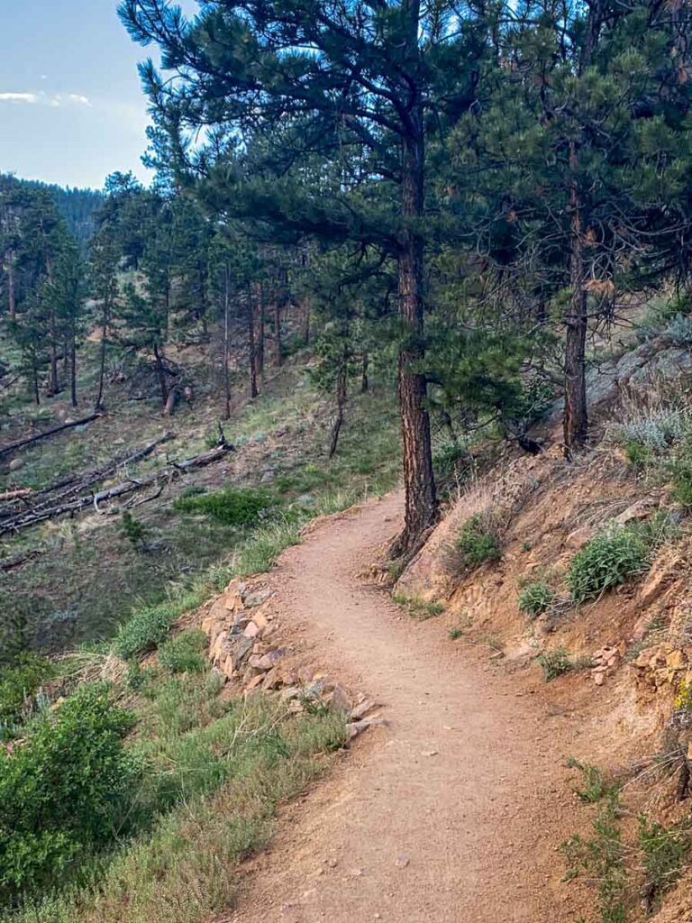 The empty hiking trail on a summer day in Chautauqua