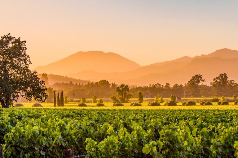Perfect Day Trip to Napa Valley Itinerary for Wine Lovers