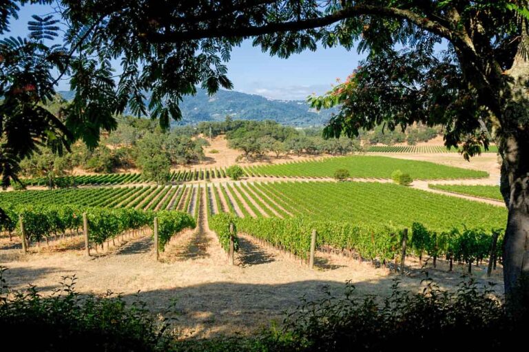 Why Now Is The Best Time To Experience Napa Valley’s Cheaper, Less Crowded Neighbor