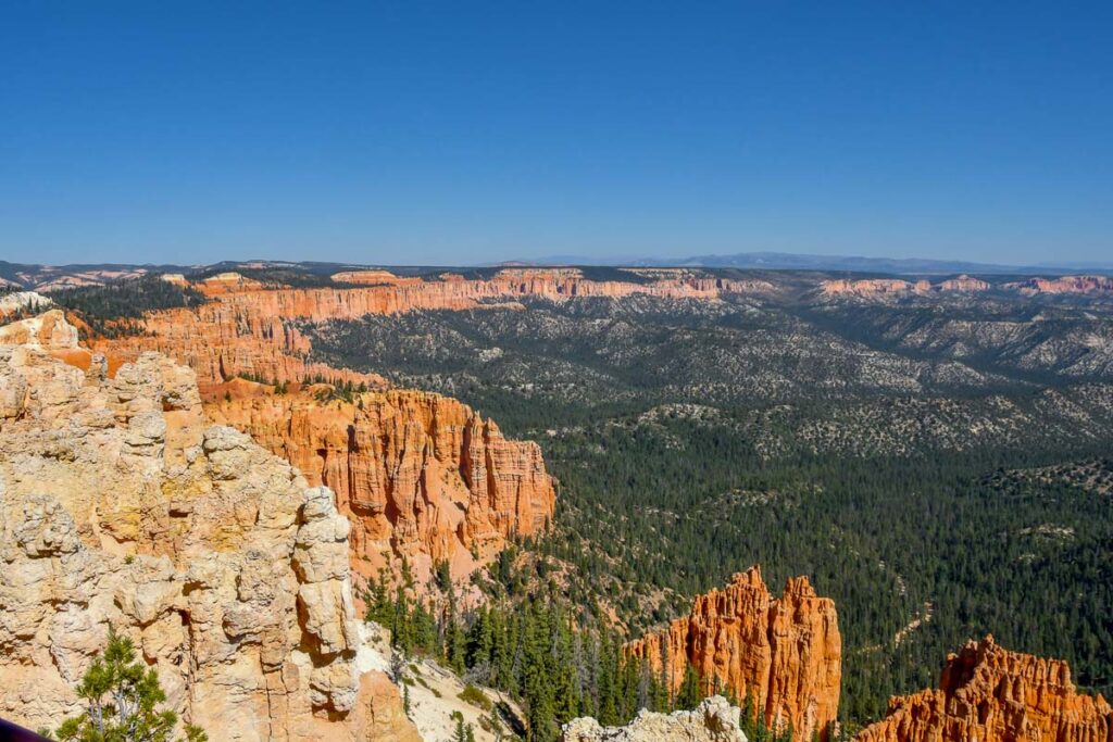 Hoodoos at Rainbow Point, Bryce Canyon National Park, Utah.