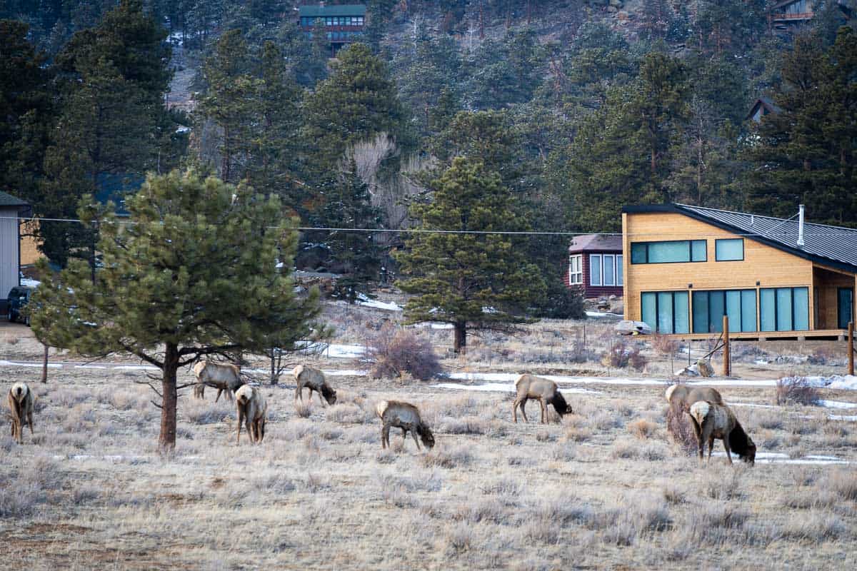 The Best Time To Visit Rocky Mountain National Park (And Worst!)